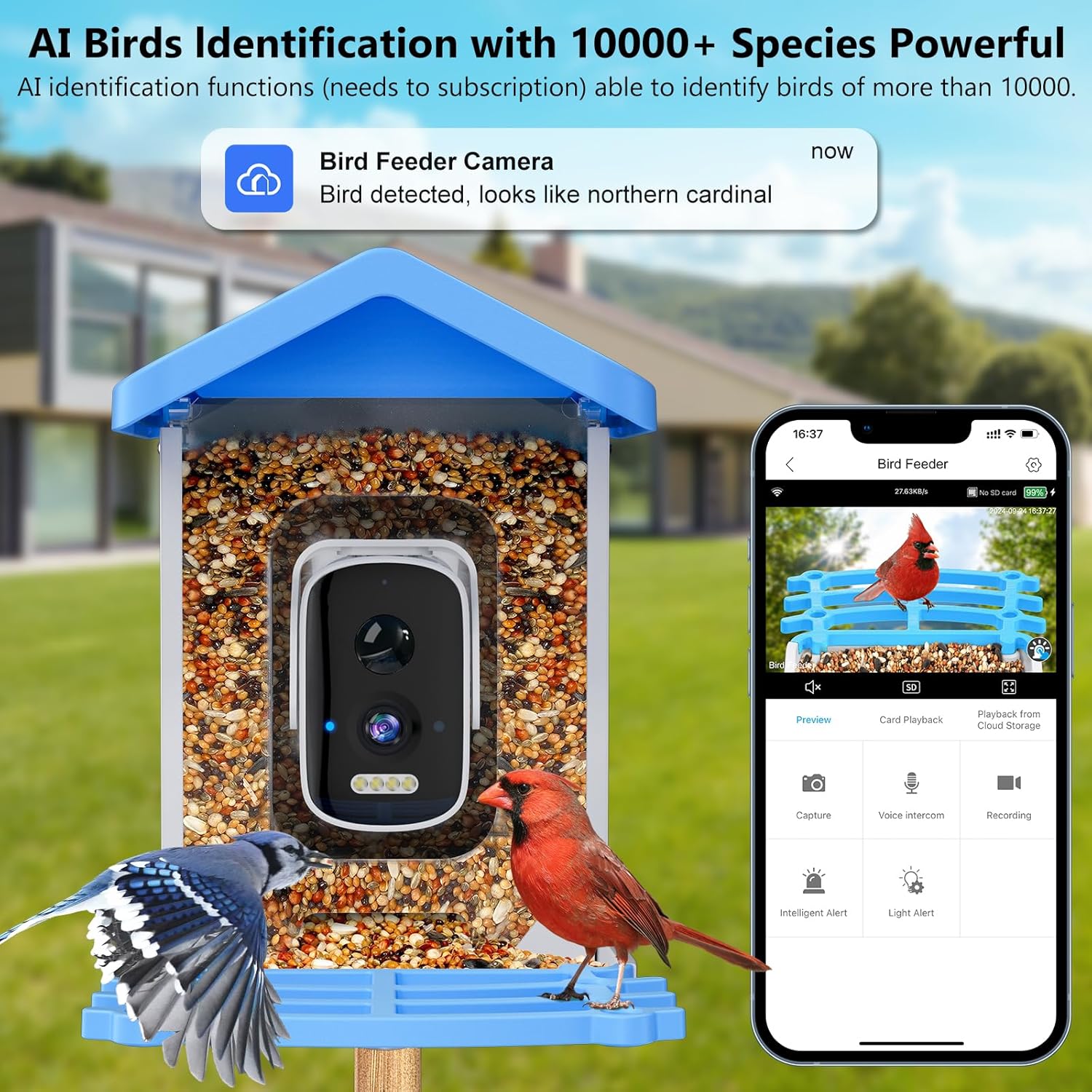 スマートバードフィーダー カメラ付きAI鳥種識別 ソーラー充 - Smart Garden Ai のレビューと価格