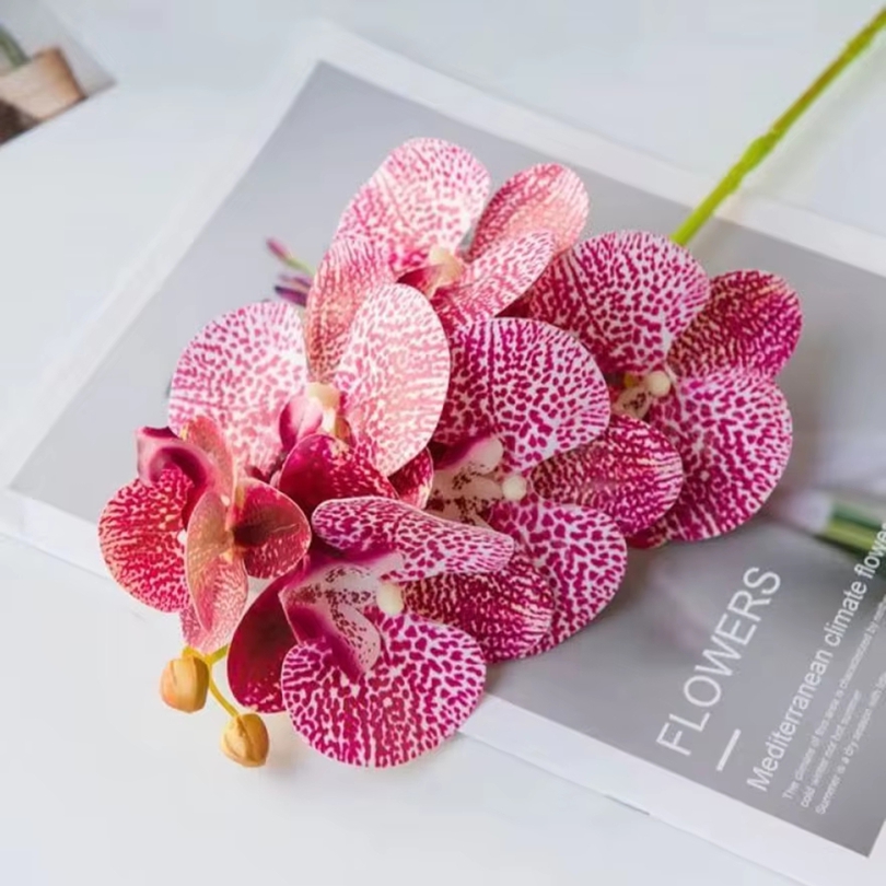 3D 造花プラスチック蝶蘭ホーム花瓶テーブル装飾結婚式屋外ガ - Smart Garden Storage のレビューと価格