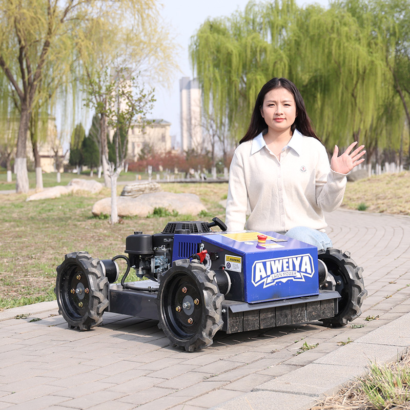 カスタマイズ可能な自動ロボット芝刈り機、障害物回避スマートワ - Smart Garden Gadgets のレビューと価格