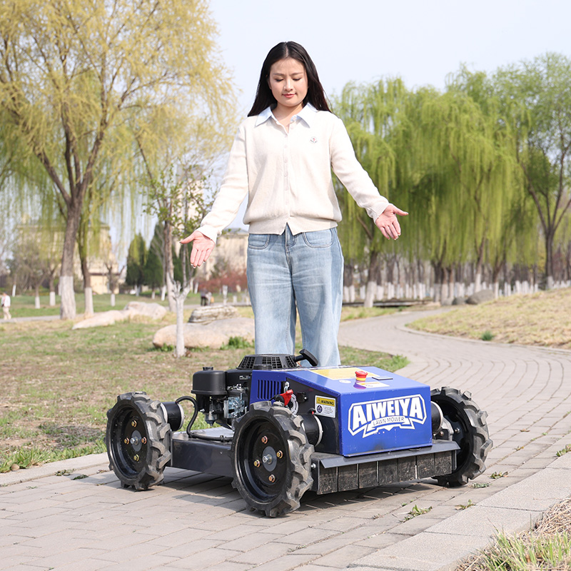 カスタマイズ可能な自動ロボット芝刈り機、障害物回避スマートワ - Smart Garden Gadgets のレビューと価格
